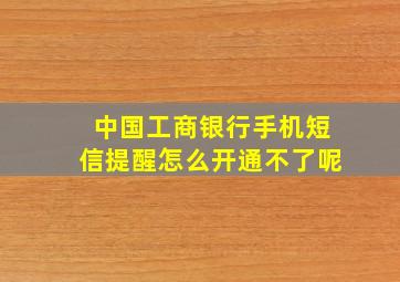 中国工商银行手机短信提醒怎么开通不了呢