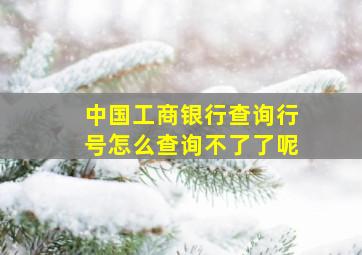 中国工商银行查询行号怎么查询不了了呢