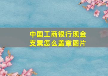 中国工商银行现金支票怎么盖章图片