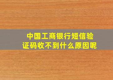 中国工商银行短信验证码收不到什么原因呢