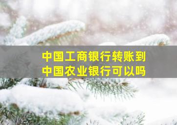 中国工商银行转账到中国农业银行可以吗