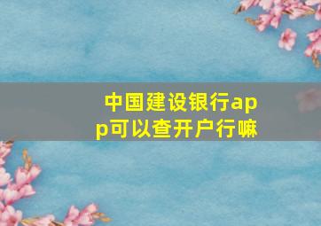 中国建设银行app可以查开户行嘛