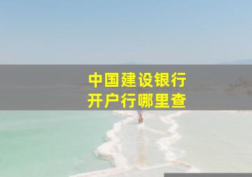 中国建设银行开户行哪里查