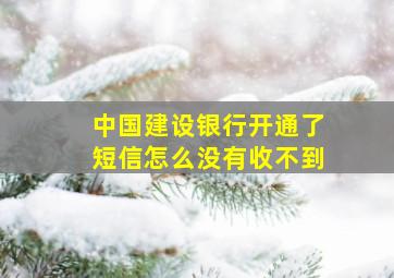 中国建设银行开通了短信怎么没有收不到