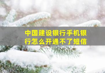 中国建设银行手机银行怎么开通不了短信