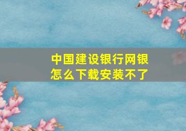 中国建设银行网银怎么下载安装不了