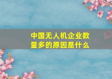 中国无人机企业数量多的原因是什么