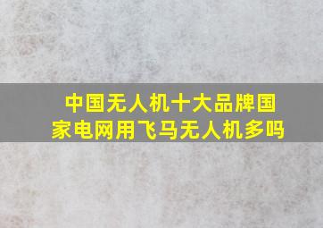 中国无人机十大品牌国家电网用飞马无人机多吗