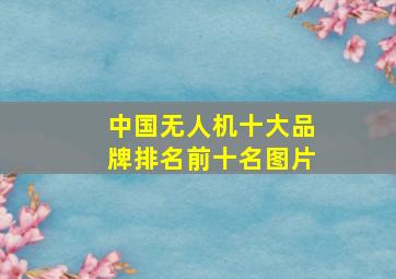 中国无人机十大品牌排名前十名图片