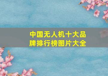 中国无人机十大品牌排行榜图片大全