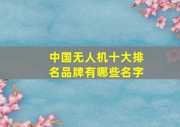 中国无人机十大排名品牌有哪些名字