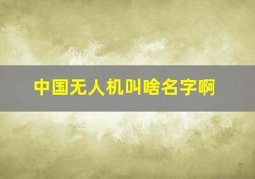 中国无人机叫啥名字啊