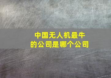 中国无人机最牛的公司是哪个公司