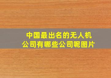 中国最出名的无人机公司有哪些公司呢图片