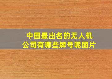 中国最出名的无人机公司有哪些牌号呢图片