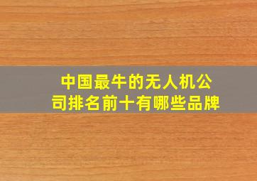 中国最牛的无人机公司排名前十有哪些品牌