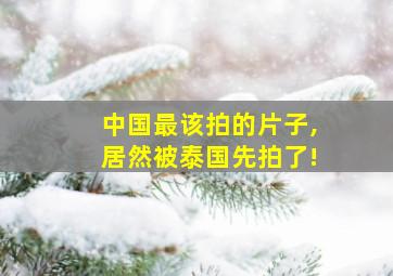 中国最该拍的片子,居然被泰国先拍了!