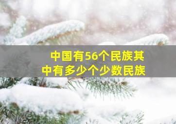 中国有56个民族其中有多少个少数民族