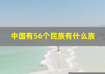 中国有56个民族有什么族