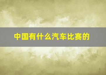 中国有什么汽车比赛的