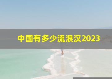 中国有多少流浪汉2023