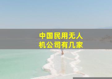 中国民用无人机公司有几家