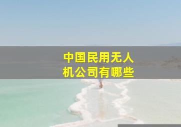 中国民用无人机公司有哪些