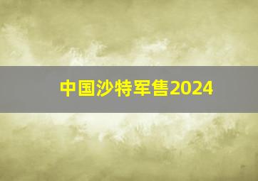 中国沙特军售2024