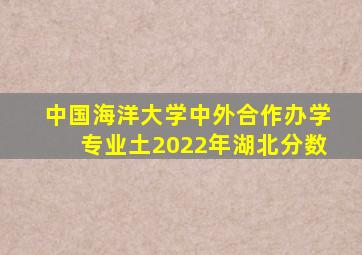 中国海洋大学中外合作办学专业土2022年湖北分数