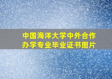 中国海洋大学中外合作办学专业毕业证书图片