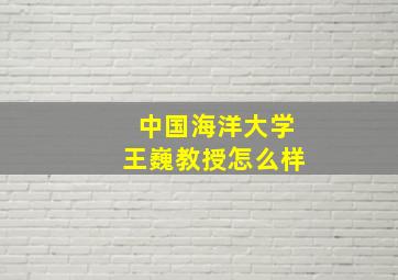 中国海洋大学王巍教授怎么样