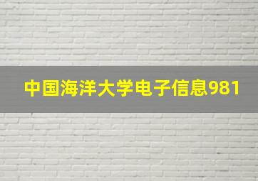 中国海洋大学电子信息981