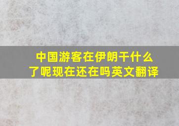 中国游客在伊朗干什么了呢现在还在吗英文翻译