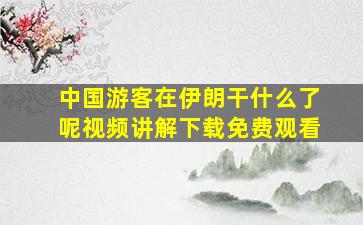 中国游客在伊朗干什么了呢视频讲解下载免费观看