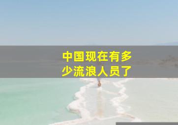 中国现在有多少流浪人员了