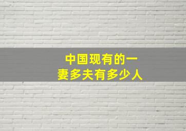 中国现有的一妻多夫有多少人