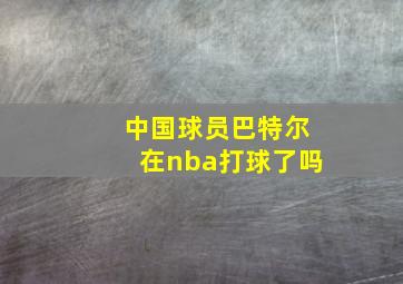 中国球员巴特尔在nba打球了吗