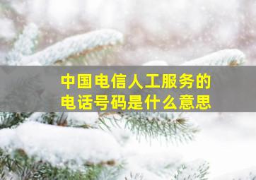 中国电信人工服务的电话号码是什么意思