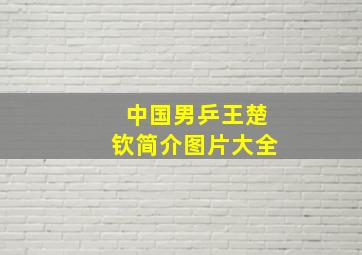 中国男乒王楚钦简介图片大全