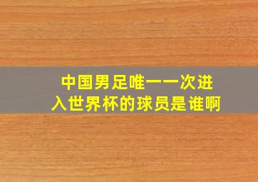 中国男足唯一一次进入世界杯的球员是谁啊