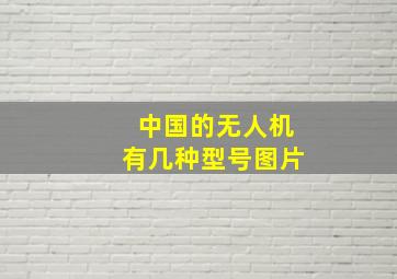 中国的无人机有几种型号图片