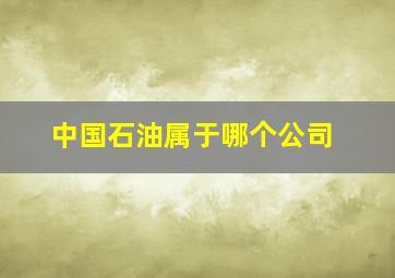 中国石油属于哪个公司