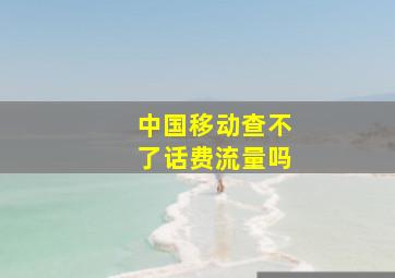 中国移动查不了话费流量吗