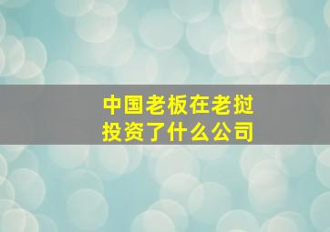 中国老板在老挝投资了什么公司