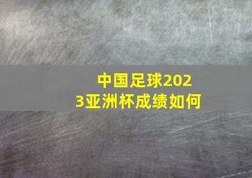 中国足球2023亚洲杯成绩如何