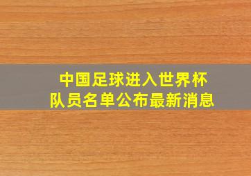 中国足球进入世界杯队员名单公布最新消息