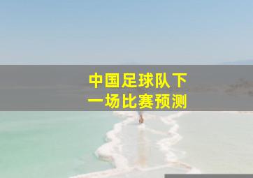 中国足球队下一场比赛预测