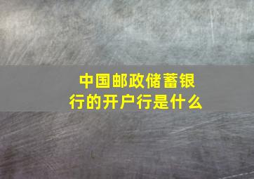 中国邮政储蓄银行的开户行是什么