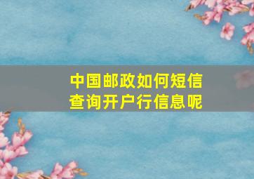 中国邮政如何短信查询开户行信息呢