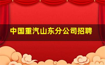 中国重汽山东分公司招聘